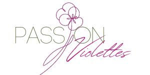 Passion Violettes